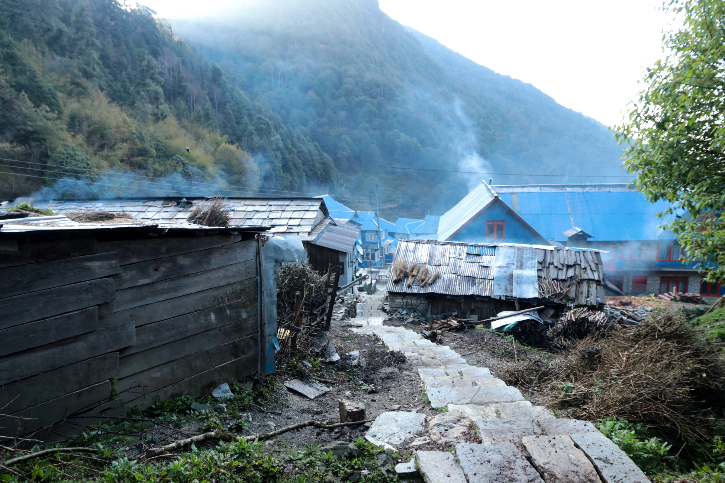 ghorepani (2).webp